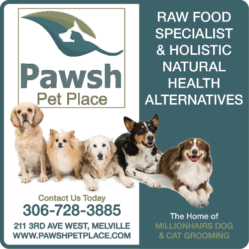 Pawsh Pet Place