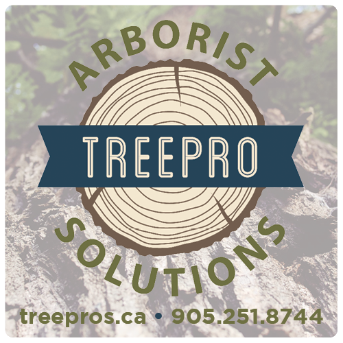 Tree Pro