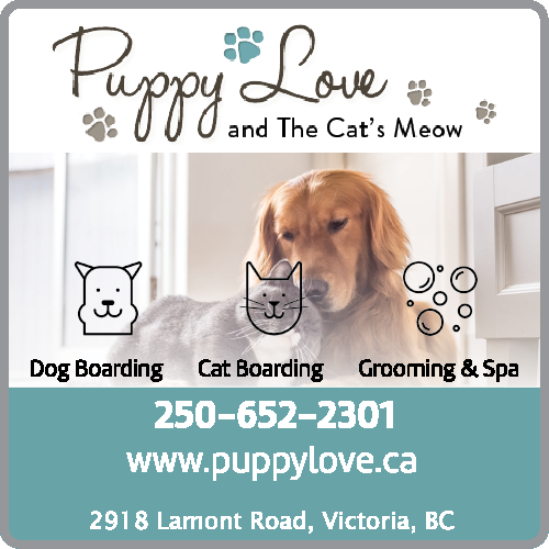 Puppy Love Pet Care Center and The Cat's Meow