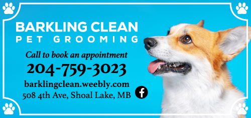Barkling Clean Dog Grooming