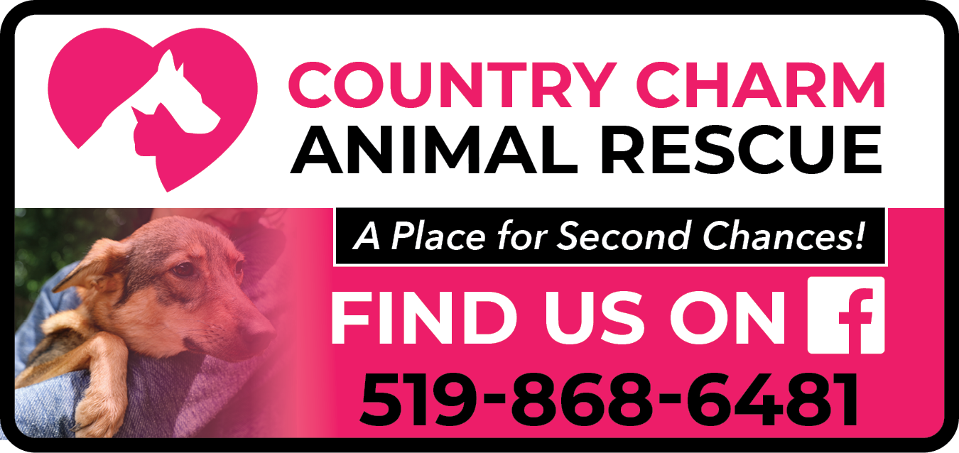 Country Charm Animal Rescue