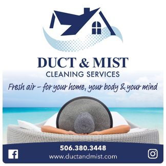 Duct & Mist Cleaning Services