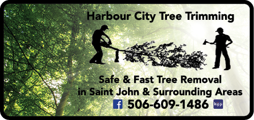 Harbourside City Tree Trimming