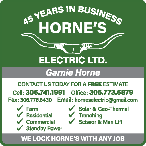Horne's Electric