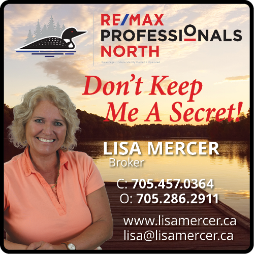 Lisa Mercer REMAX Professionals North