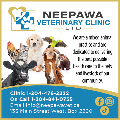 Neepawa Vet Clinic