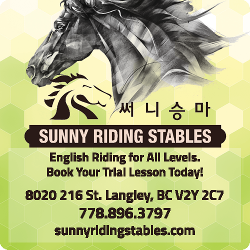 Sunny Riding Stables
