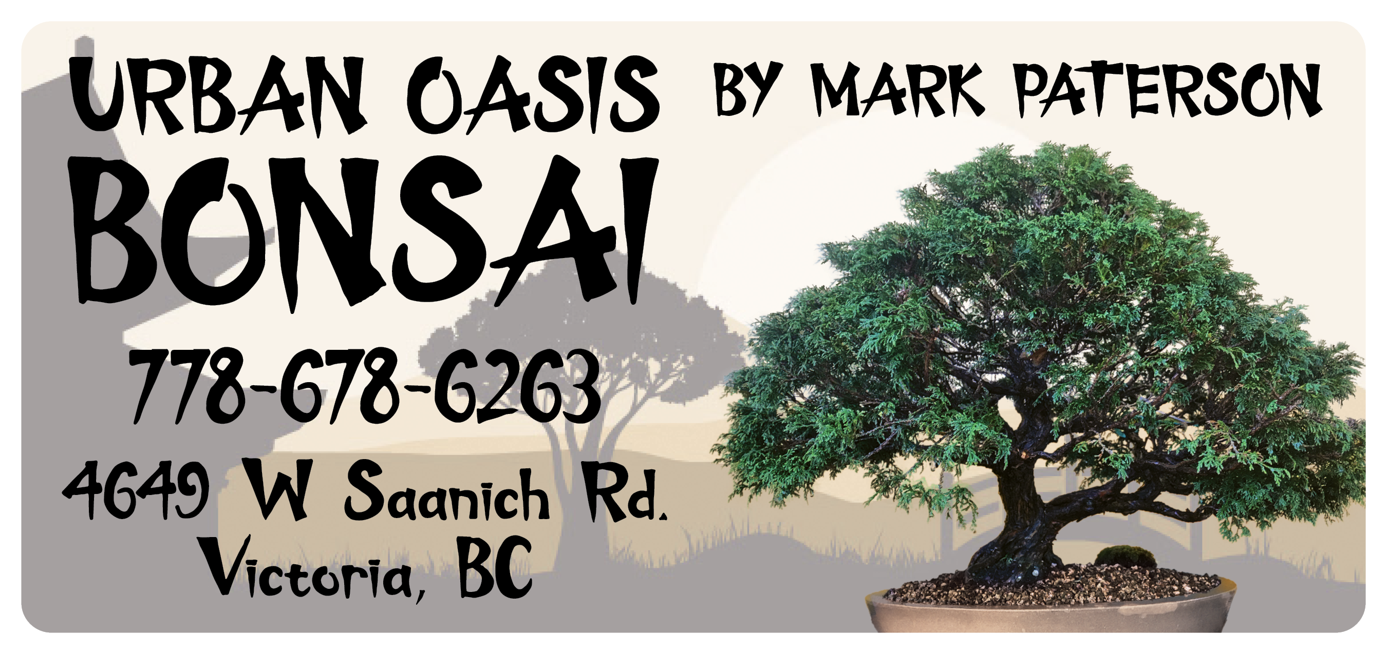 Urban Oasis Bonsai