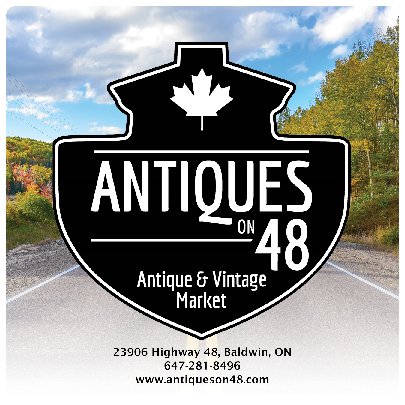 Antiques on 48