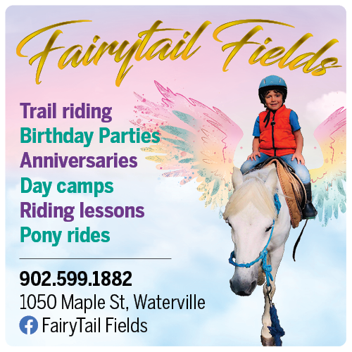 Fairy Tail Fields
