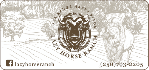 Lazy Horse Ranch