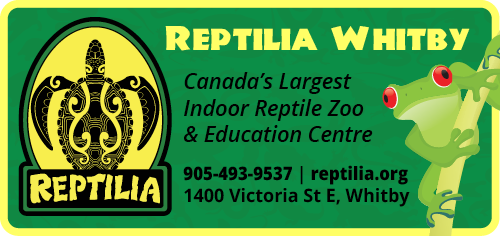 Reptilia - Whitby