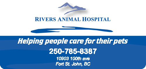 Rivers Animal Hospital