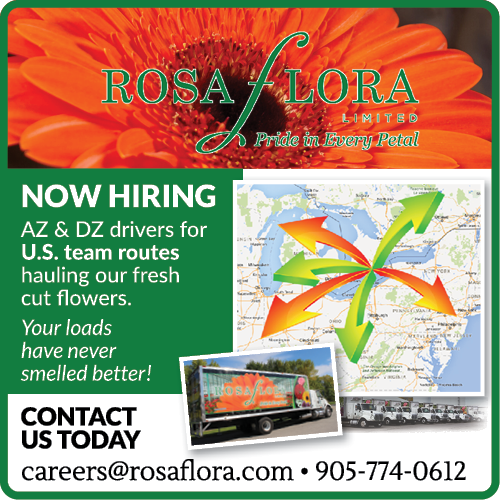 Rosa Flora Limited