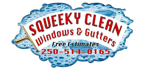 Squeeky Clean Windows & Gutters