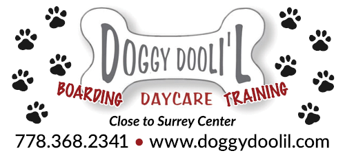 Doggy Doolil Daycare