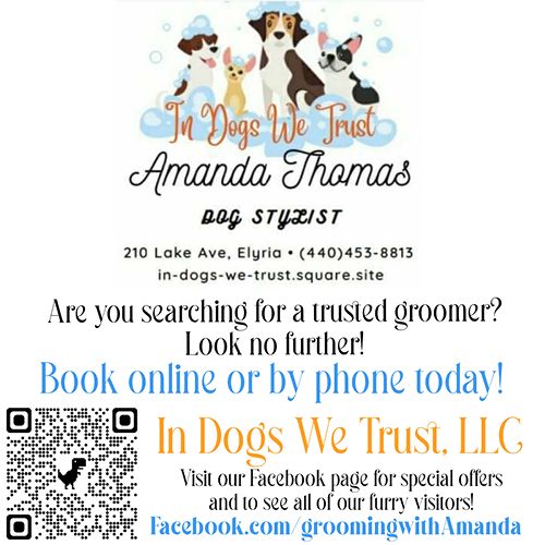 In Dogs We Trust LLC