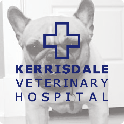 Kerrisdale Veterinary Hospital
