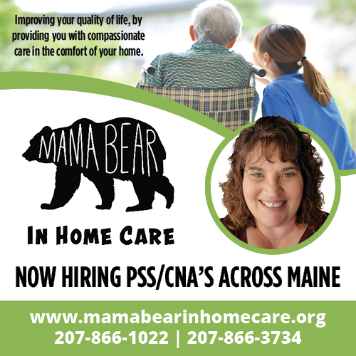Mama Bear In Home Care