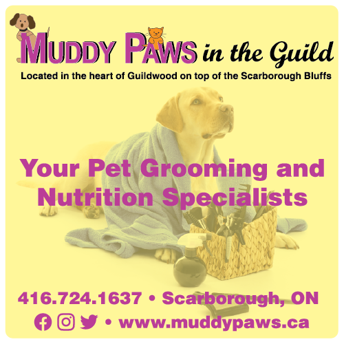 Muddy Paws Dog Food & Grooming