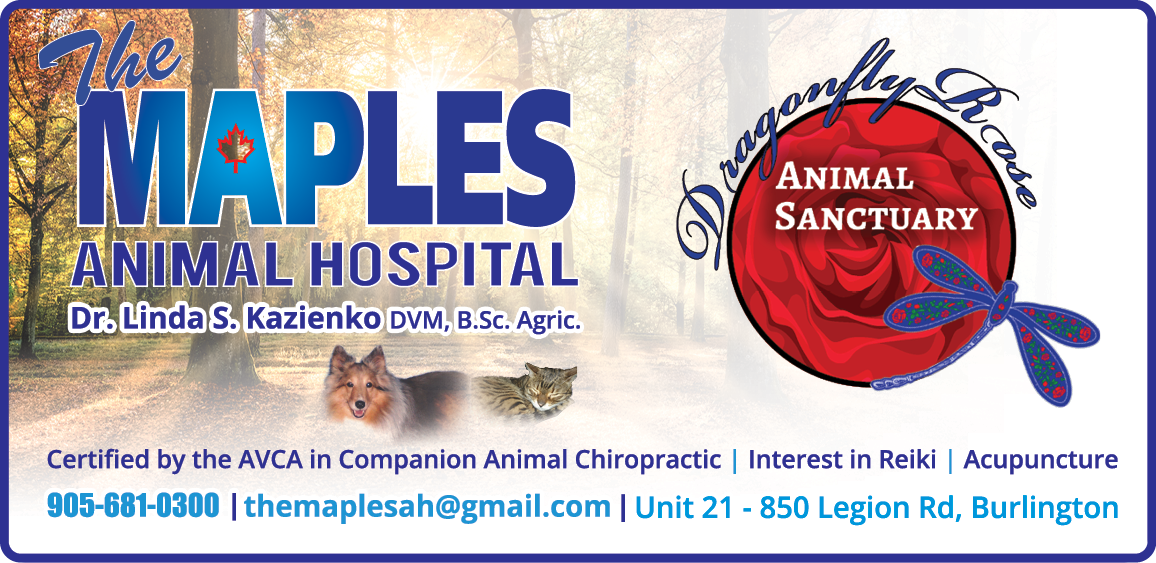 The Maples Animal Hospital