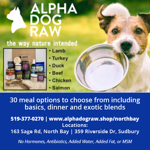 Alpha Dog Raw - North Bay