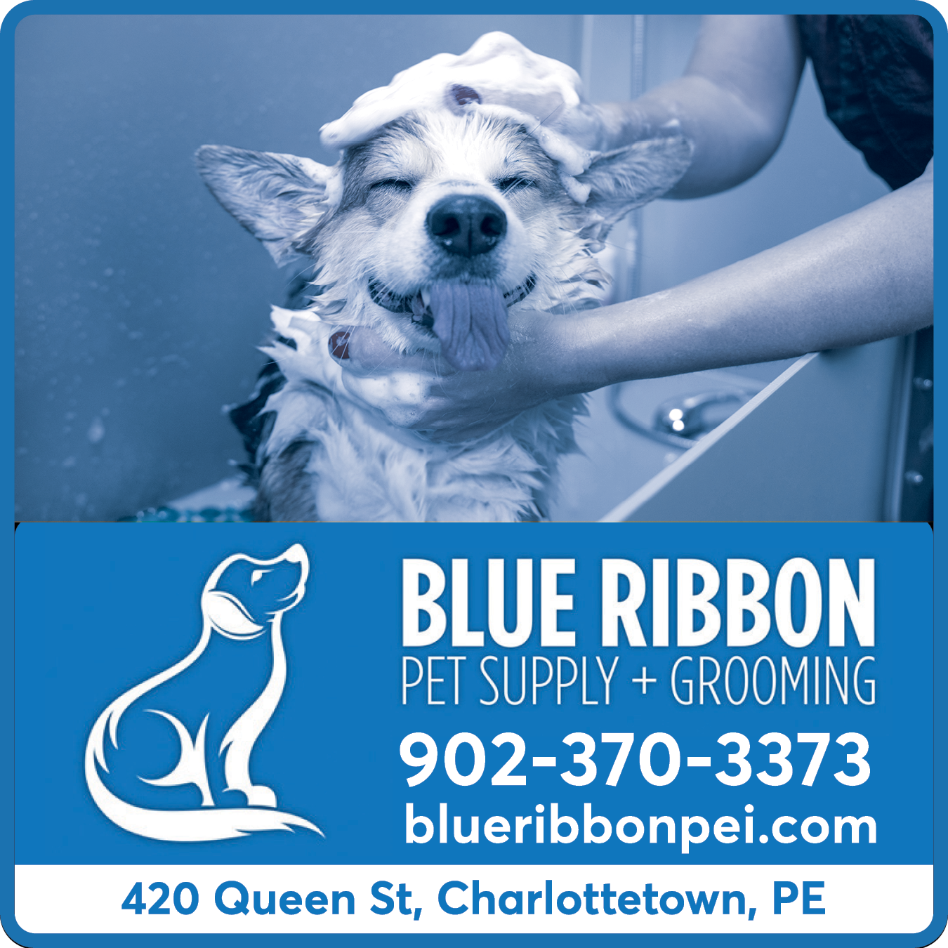 Blue Ribbon Pet Supply