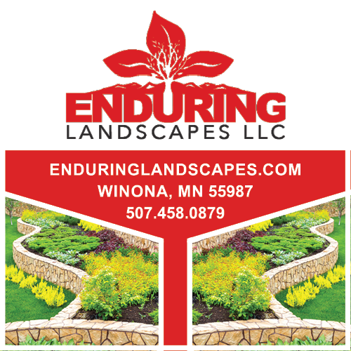 Enduring Landscapes