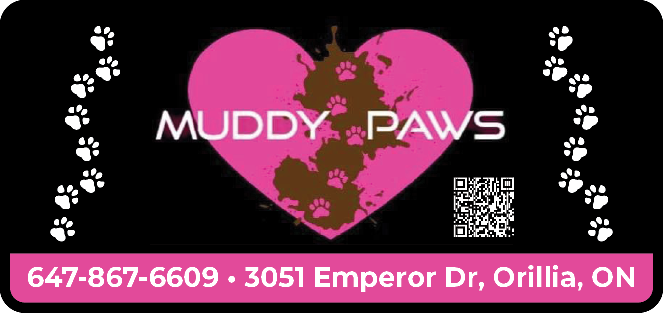 Muddy Paws Grooming in Style