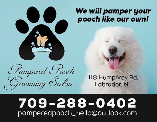 Pampered Pooch Grooming Salon