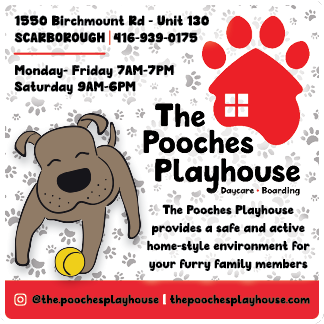 The Pooches Playhouse Inc