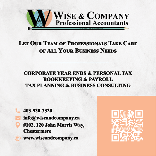 Wise & Company Professional Accountants