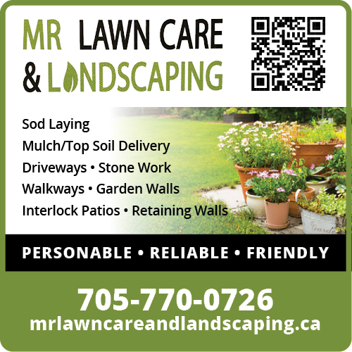 Mr. Lawn Care & Landscaping
