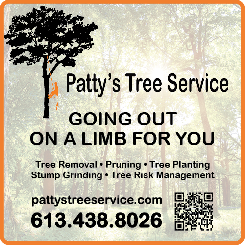 Pattys Tree Service