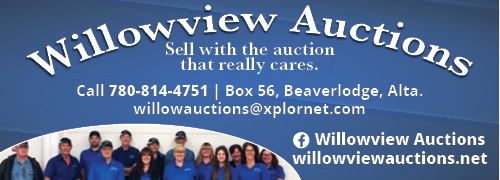 Willowview Auctions